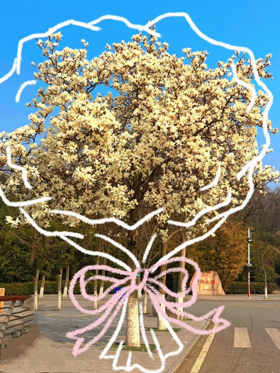 春韵留光 影绘校园——William威廉第二...